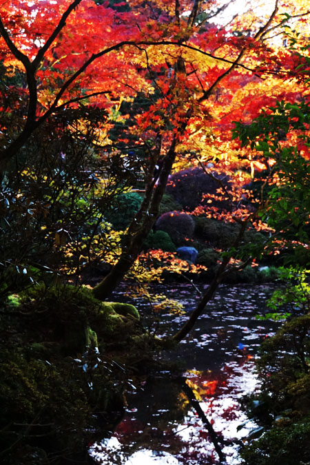 a0263109_13310100.jpg