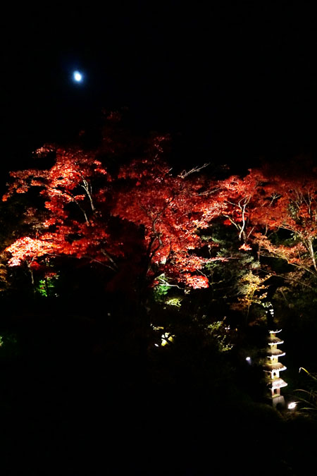 a0263109_1332687.jpg