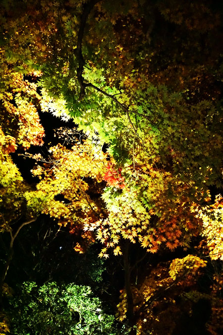 a0263109_1332833.jpg