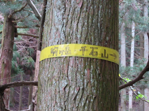 a0164011_23405525.jpg