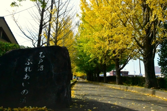 b0301412_23122642.jpg