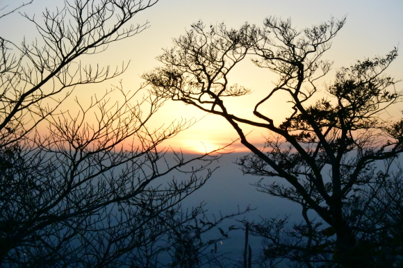 b0301412_23283677.jpg