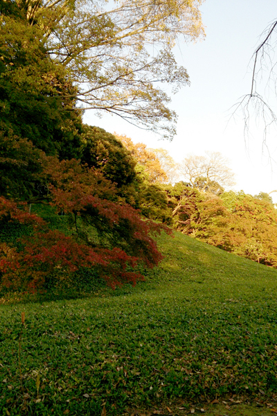 d0113613_11235836.jpg
