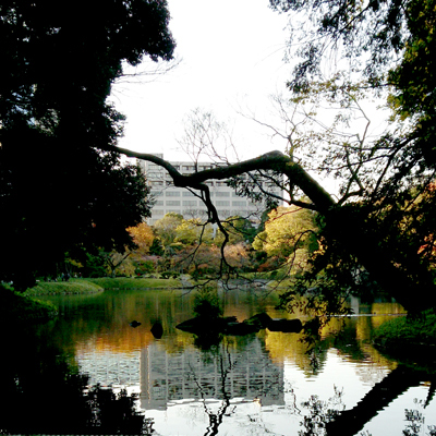d0113613_11255848.jpg