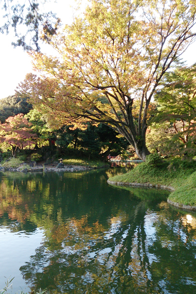 d0113613_11261866.jpg