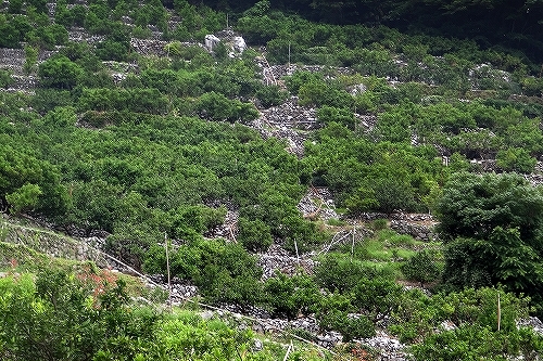 c0168815_01221562.jpg