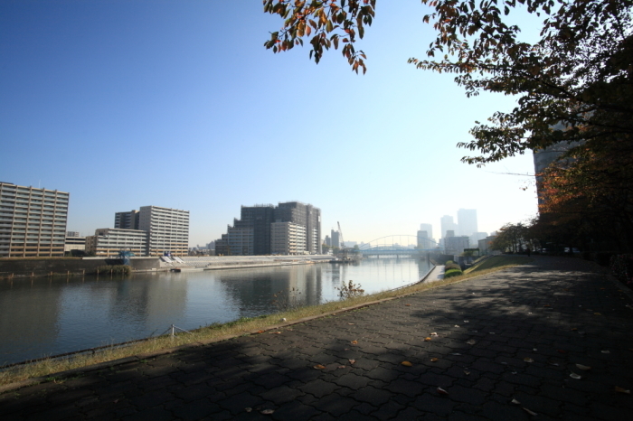 b0224616_18461758.jpg