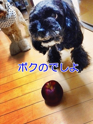 f0326925_00425971.gif