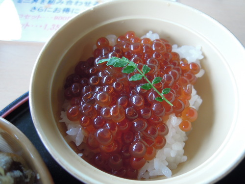 ピカリ！　どんぶり巡り　えらんでミニ丼セット_e0147226_20542089.jpg