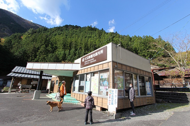 e0284726_1001722.jpg