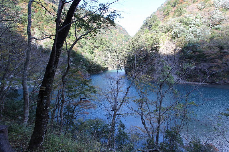 e0284726_102227.jpg