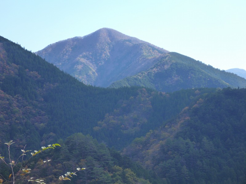 e0284726_1023914.jpg