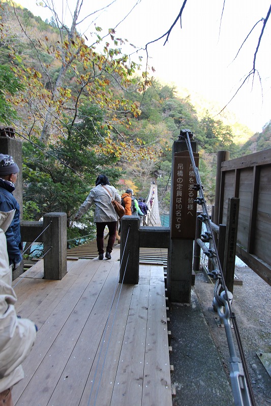 e0284726_1034342.jpg