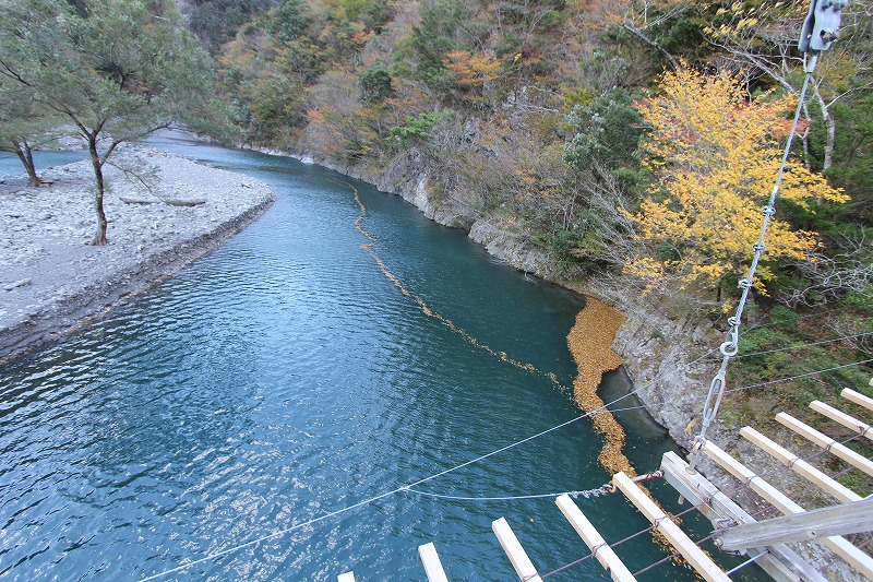e0284726_1044841.jpg