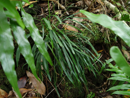 d0150727_7401350.jpg