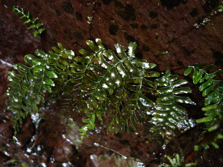 d0150727_7524736.jpg