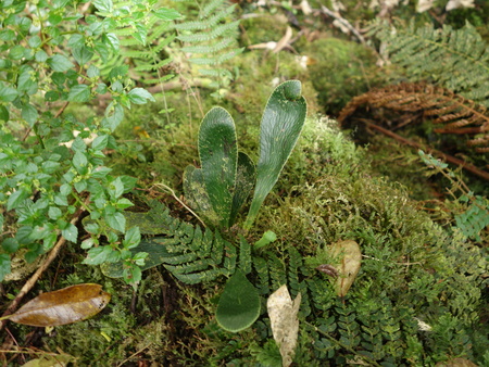 d0150727_757859.jpg