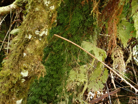 d0150727_812014.jpg