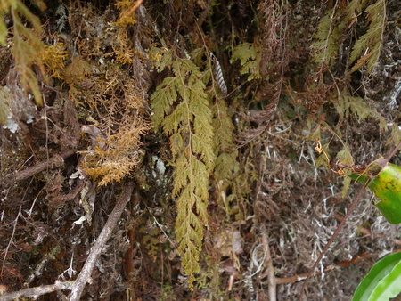 d0150727_822970.jpg