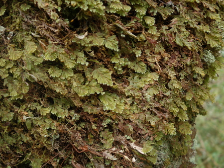 d0150727_83391.jpg