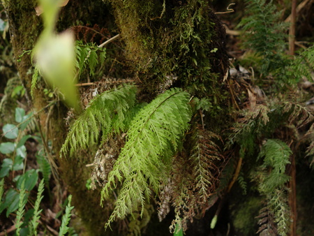 d0150727_841265.jpg