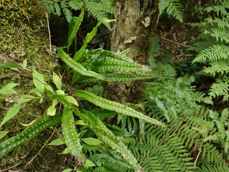 d0150727_84462.jpg