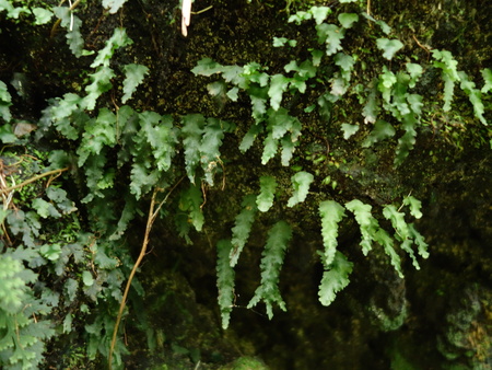 d0150727_852031.jpg
