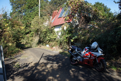 a0222229_754415.jpg