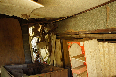 a0222229_757889.jpg