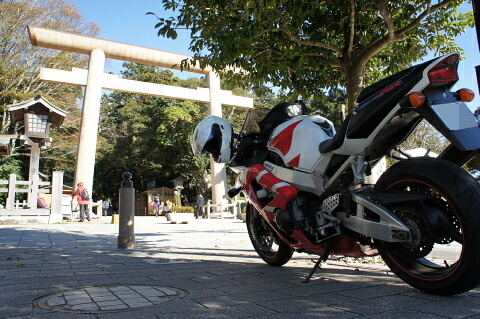a0222229_759651.jpg