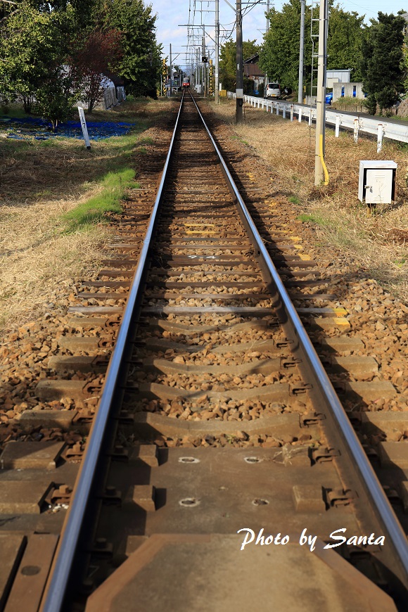 c0201929_845175.jpg