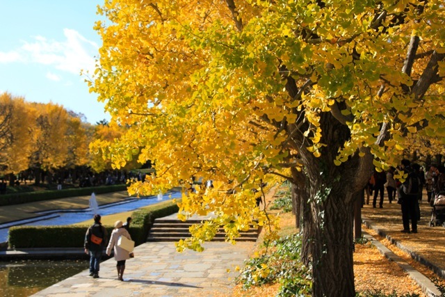 【昭和記念公園】part 1_f0348831_13475682.jpg