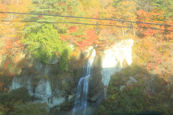 f0229832_10322160.jpg