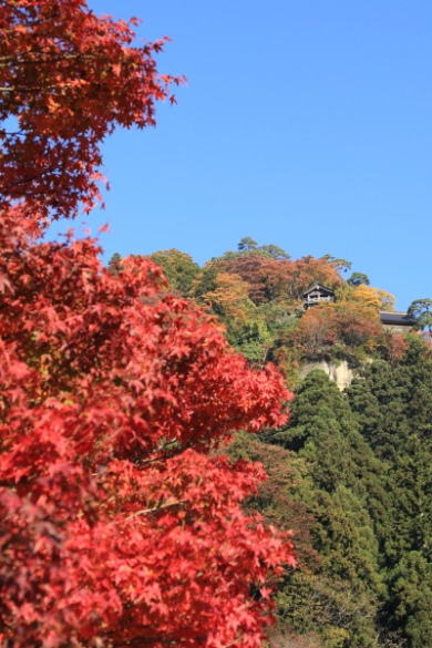 東北紅葉旅（その８）山形県　立石寺_f0229832_1131991.jpg