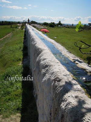 c0077533_57275.jpg