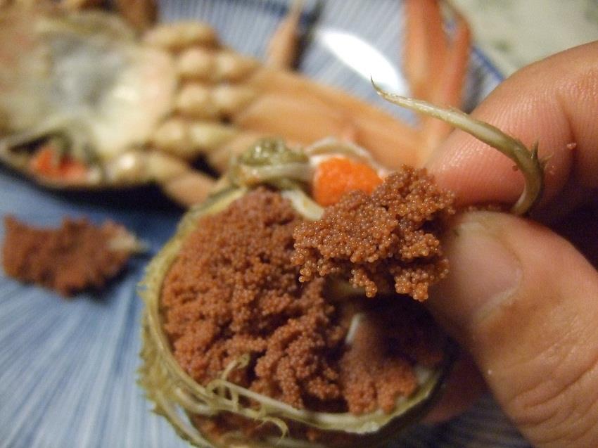 解禁短縮 朝野家館主の美味しいセコ蟹の食べ方 朝野家スタッフのblog