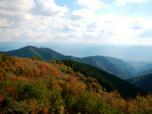 和泉葛城山 紅葉 部長の記録 和泉葛城山 紅葉 部長の記録