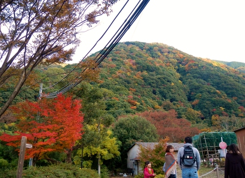 和泉葛城山 紅葉 部長の記録 和泉葛城山 紅葉 部長の記録