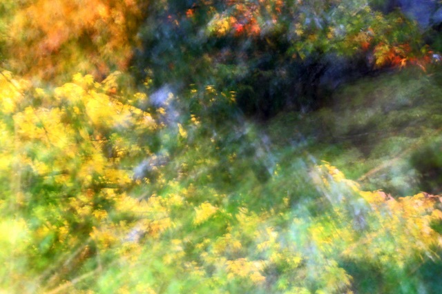 a0242438_17362542.jpg