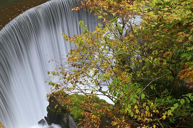 a0242438_17365923.jpg