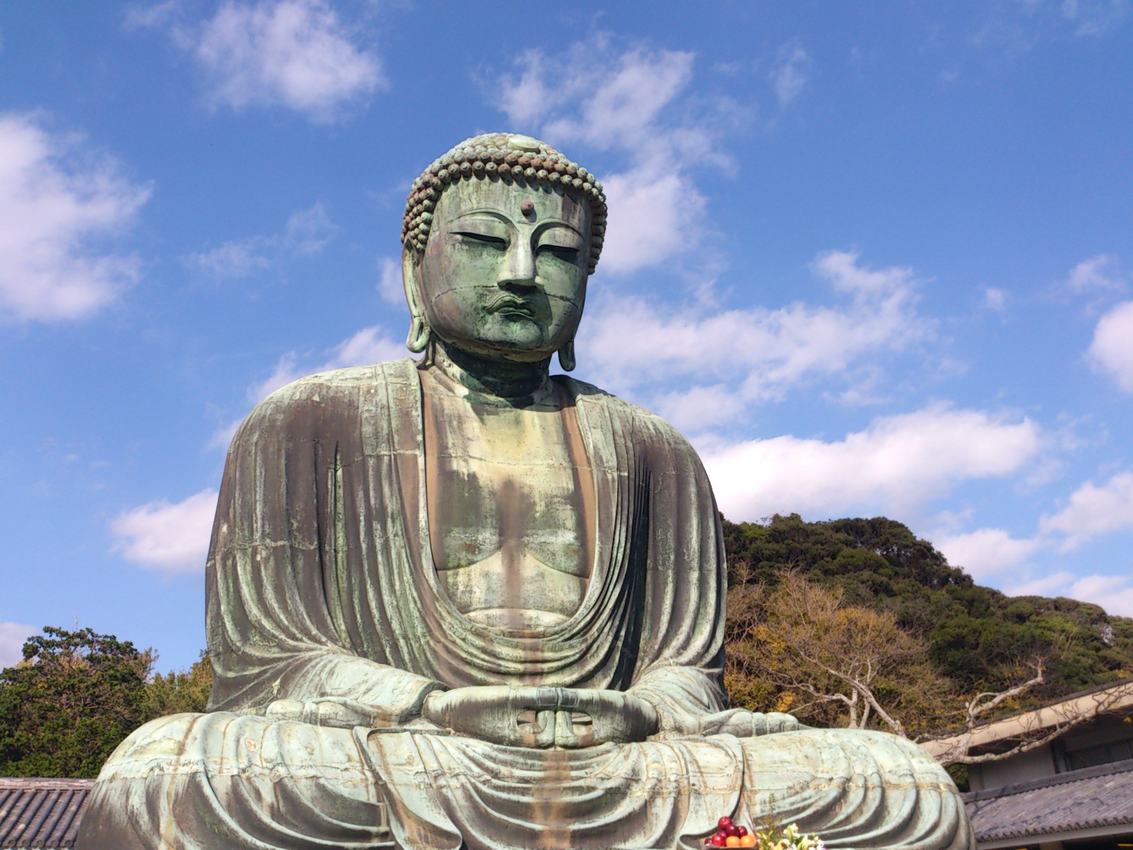 11月15日 高円寺フェス報告とこれから・・・_e0318040_018840.jpg