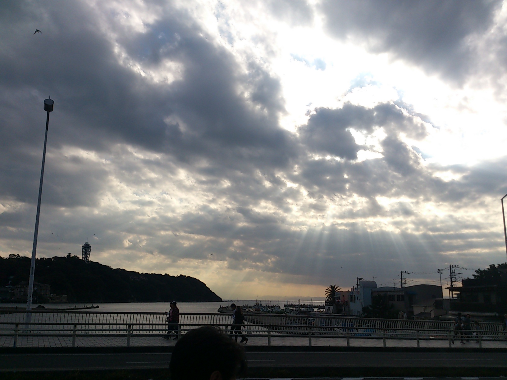 11月15日 高円寺フェス報告とこれから・・・_e0318040_0204657.jpg