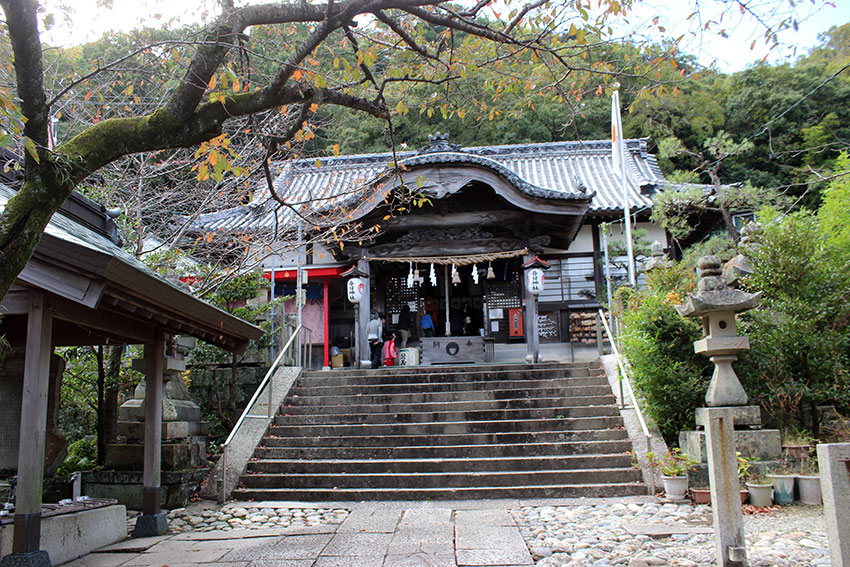 春日神社・豊玉比賣神社♪_d0058941_21113696.jpg