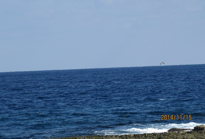 b0288942_9181812.jpg