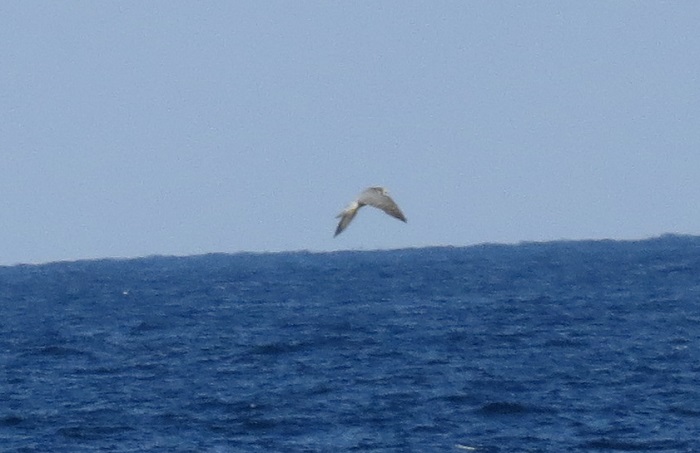 b0288942_9182558.jpg