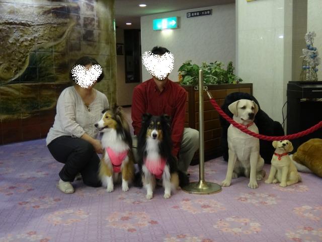 ♪草津よいとこ一度はおいで~わんわわん♪_e0195743_14433118.jpg