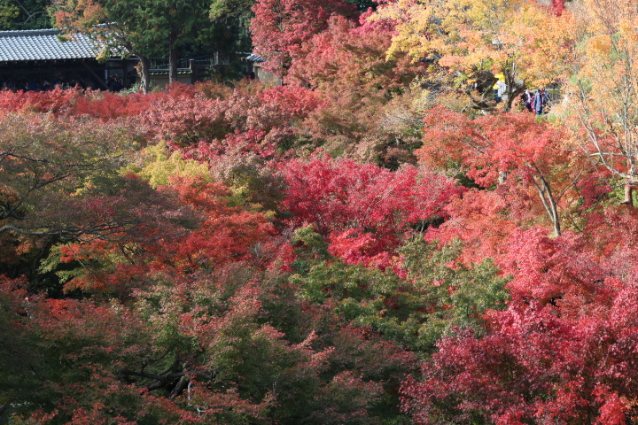 f0334143_22113351.jpg