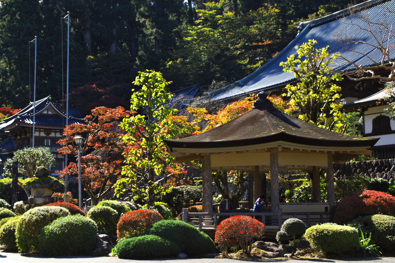 紅葉４　大雄山最乗寺_d0029744_22155552.jpg