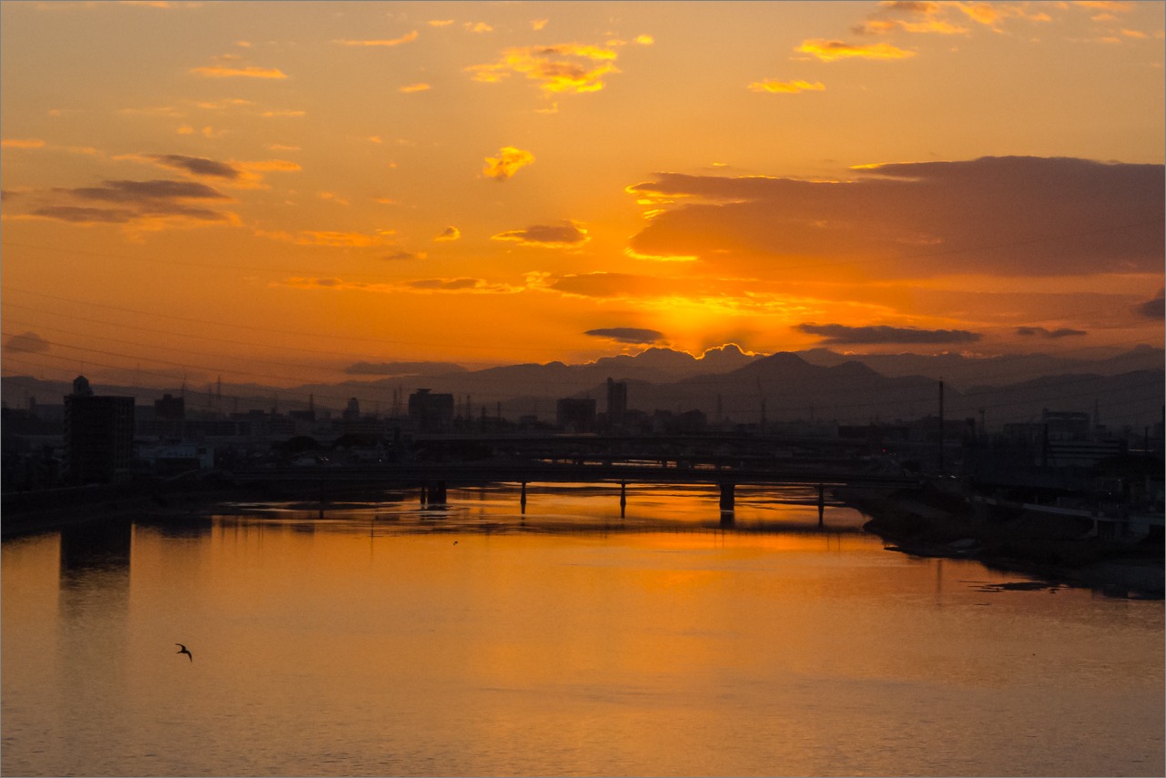 逢坂物語「大和川朝景」_d0058445_843398.jpg