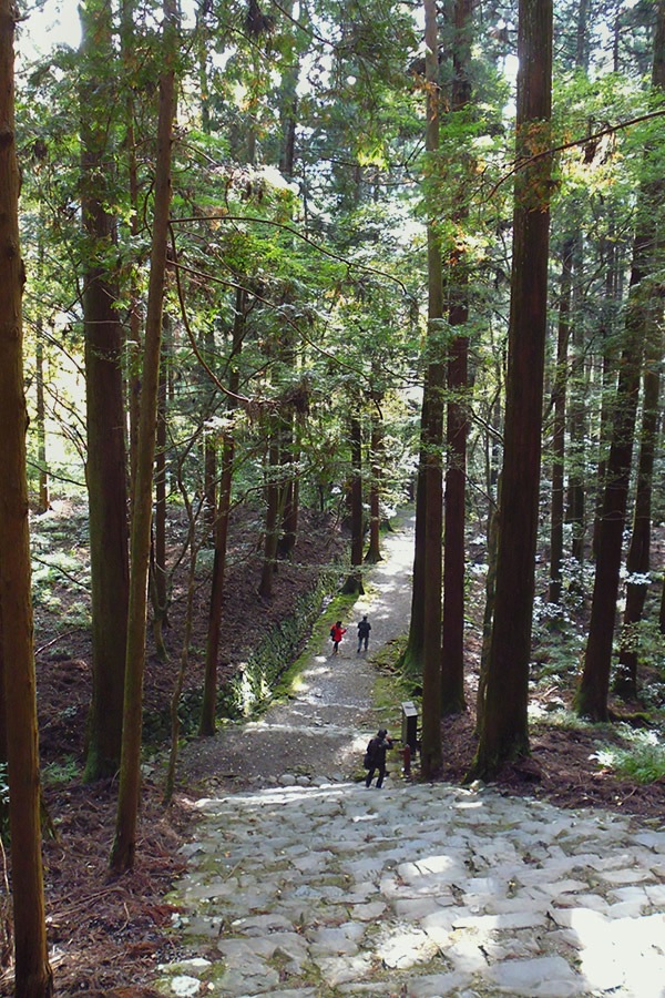 ぶらり京都-70 [鳥獣人物戯画と栂尾高山寺]_f0190950_11155673.jpg